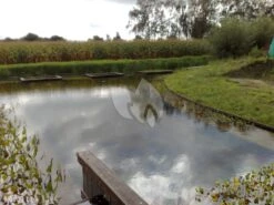 EPDM Vijverfolie 14.98 Meter Breed (1mm) 8 EPDM Vijverfolie 14.98 Meter Breed (1mm) -Oases Winkel 10092007011 0 2592x1944 1