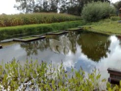 EPDM Vijverfolie 11.66 Meter Breed (1mm) 8 EPDM Vijverfolie 11.66 Meter Breed (1mm) -Oases Winkel 10092007012 0 2592x1944 3