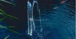 OASE Water Starlet Fontein 10 OASE Water Starlet Fontein -Oases Winkel 50214 waterstarlet foto3 05 gr 0 808x421