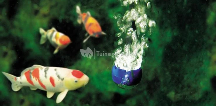 Oase AquaOxy 250 Luchtpomp 6 Oase AquaOxy 250 Luchtpomp - Afbeelding 4