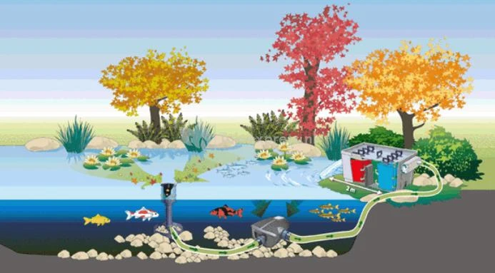 OASE AquaSkim 20 Skimmer Vijver 4 OASE AquaSkim 20 Skimmer Vijver - Afbeelding 2