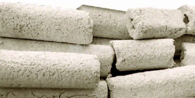 Bacteria Home 3 Bacteria Home