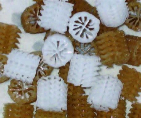 Biocarrier Type Helix 3 Biocarrier Type Helix