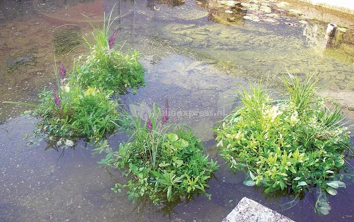 Drijvend Planteneiland Rond 5 Drijvend Planteneiland Rond - Afbeelding 3