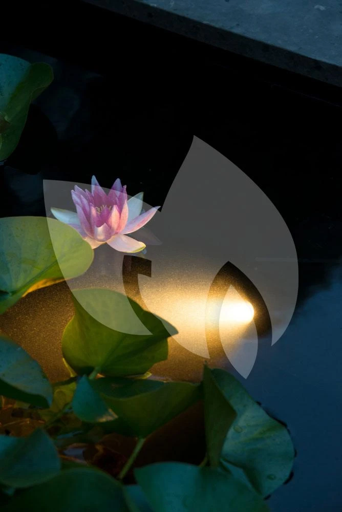 Ubbink AquaLight 60LED Vijververlichting 4 Ubbink AquaLight 60LED Vijververlichting - Afbeelding 2