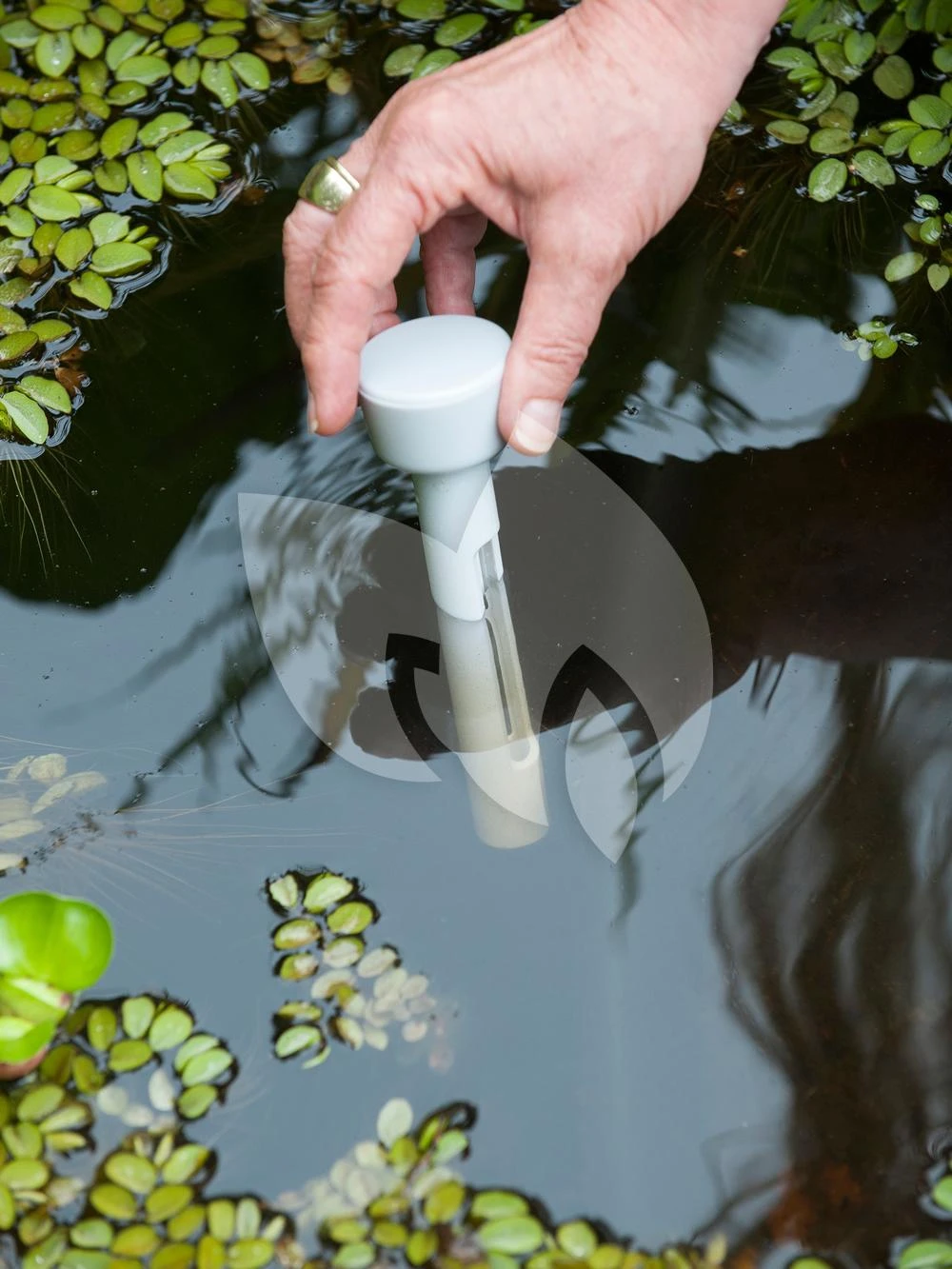 Ubbink AquaThermo Drijvende Vijverthermometer 4 Ubbink AquaThermo Drijvende Vijverthermometer - Afbeelding 2