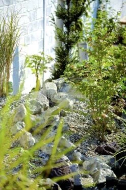 OASE Beekloopelement Zand Bron Element 9 OASE Beekloopelement Zand Bron Element -Oases Winkel beekloop 50413 2 0 396x597 3