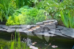 Ubbink Cazorla Beekloop Set -Oases Winkel cazorla beekloop set 1 0 1000x667