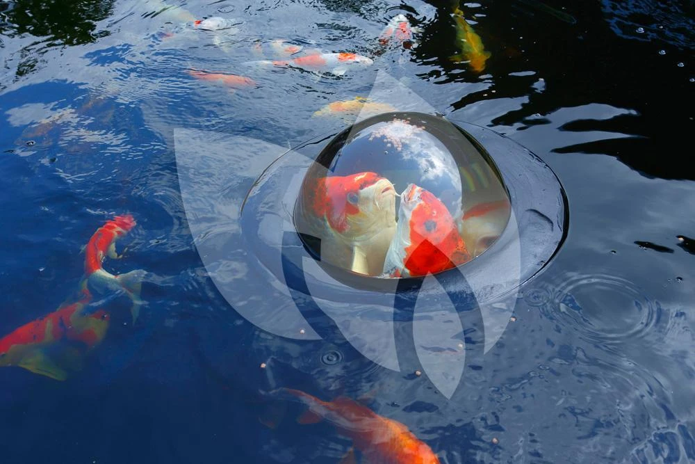 Velda Floating Fish Dome Klein 3 Velda Floating Fish Dome Klein - Afbeelding 2