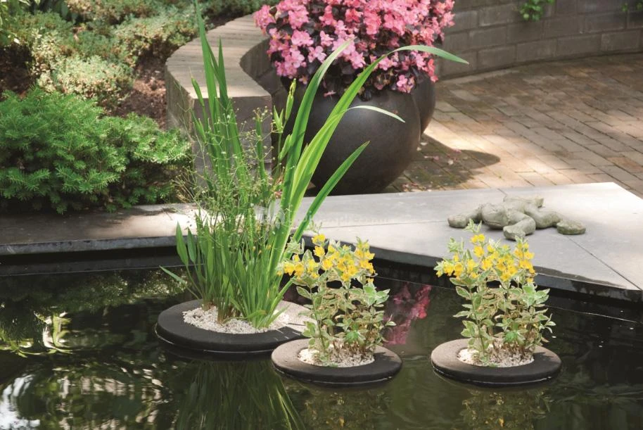 Drijvend Planteneiland 25 Cm Rond Velda 4 Drijvend Planteneiland 25 Cm Rond Velda - Afbeelding 2