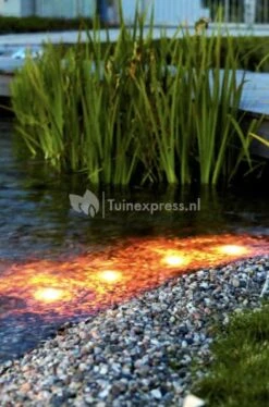 OASE LunAqua Maxi LED Set 3 Vijververlichting 10 OASE LunAqua Maxi LED Set 3 Vijververlichting -Oases Winkel lunaqua maxi led set3 en solo 0 393x595