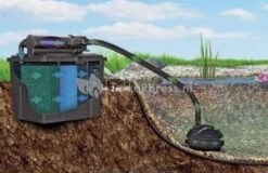 Pontec Meerkamerfilter Met UVC MultiClear Set 5000 7 Pontec Meerkamerfilter Met UVC MultiClear Set 5000 -Oases Winkel meerkamerfilter met uvc multiclear set 50238 2 0 441x286