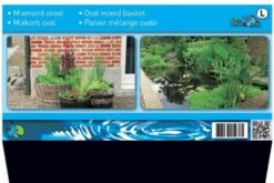 Oases Winkel 7 Oases Winkel -Oases Winkel mix waterplanten in ovale vijvermand 2 0 900x600
