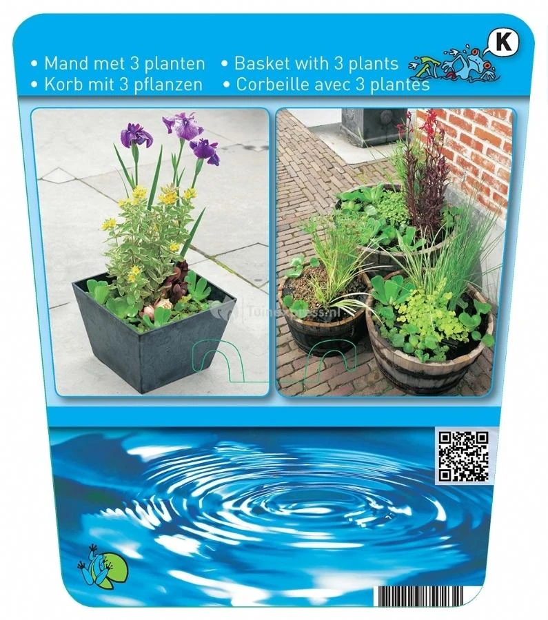 Mix Waterplanten In Vijvermand 5 Mix Waterplanten In Vijvermand - Afbeelding 3