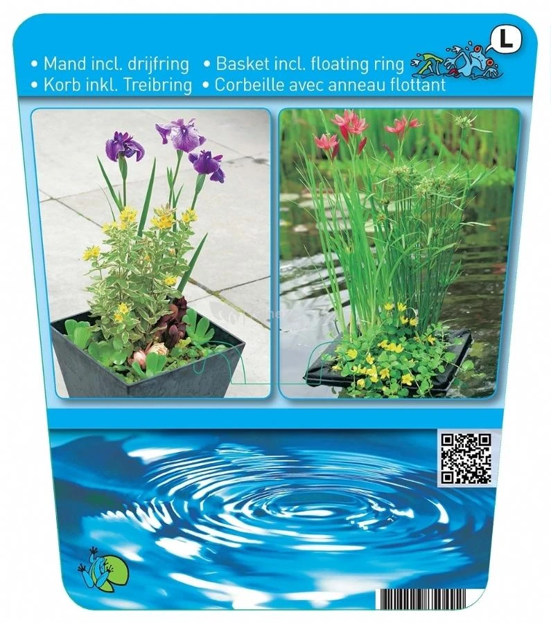 Mix Waterplanten Op Drijvend Planteneiland 4 Mix Waterplanten Op Drijvend Planteneiland - Afbeelding 2