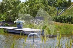 OASE Aquarius Fountain Set Eco 7500 Fonteinpomp 11 OASE Aquarius Fountain Set Eco 7500 Fonteinpomp -Oases Winkel oase aquarius fountain set eco 5500 41923 1 0 1000x666