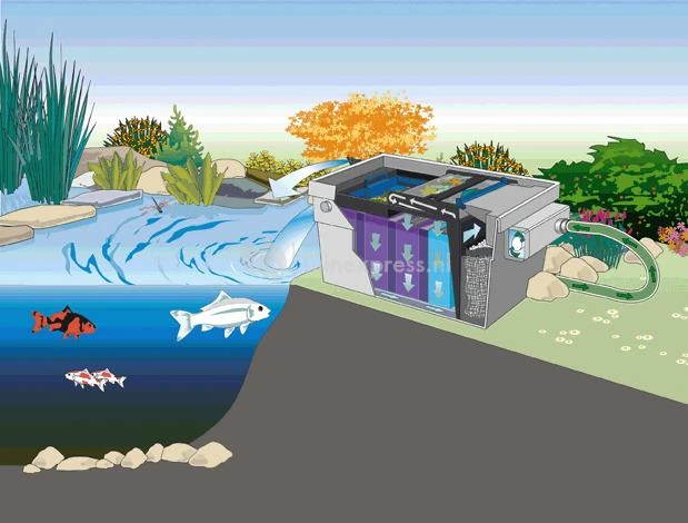 OASE BioTec ScreenMatic2 40000 Doorstroomfilter 6 OASE BioTec ScreenMatic2 40000 Doorstroomfilter - Afbeelding 4