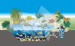 Oase FiltoClear 12000 Vijverfilter 9 Oase FiltoClear 12000 Vijverfilter -Oases Winkel oase filtoclear 12000 vijverfilter 4010052512440 2 0 1000x614