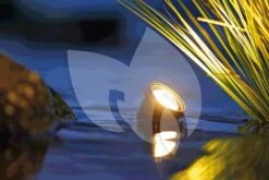 OASE LunAqua 3 LED Set 3 Vijververlichting -Oases Winkel oase lunaqua 3 led set 1 vijververlichting 57034 2 0 1000x667 1