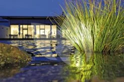 OASE LunAqua 3 LED Set 3 Vijververlichting -Oases Winkel oase lunaqua 3 led set 1 vijververlichting 57034 3 0 1000x667 1