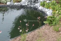 OASE Pondedge Set Van 10 Grondpennen XL 11 OASE Pondedge Set Van 10 Grondpennen XL -Oases Winkel oase pondedge grondpen 10 stuks 40296 4 0 829x555