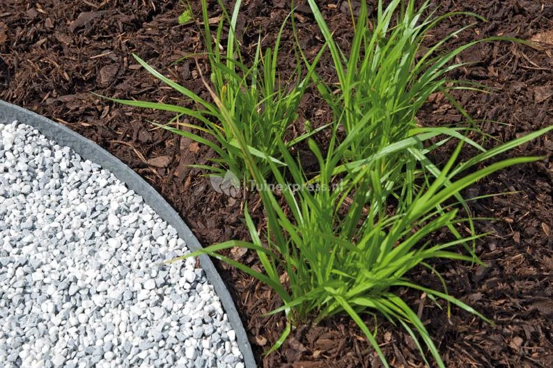 OASE Pondedge Set Van 10 Grondpennen 6 OASE Pondedge Set Van 10 Grondpennen - Afbeelding 4