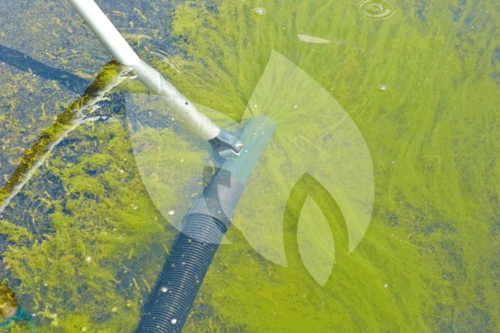 OASE Ronde Zuigmond PondoVac Premium Vijverstofzuiger 4 OASE Ronde Zuigmond PondoVac Premium Vijverstofzuiger - Afbeelding 2