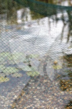 Oase Vijvernet 3 X 4 Meter -Oases Winkel oase vijver afdeknet 3 x 4 m 53751 3 0 667x1000 1