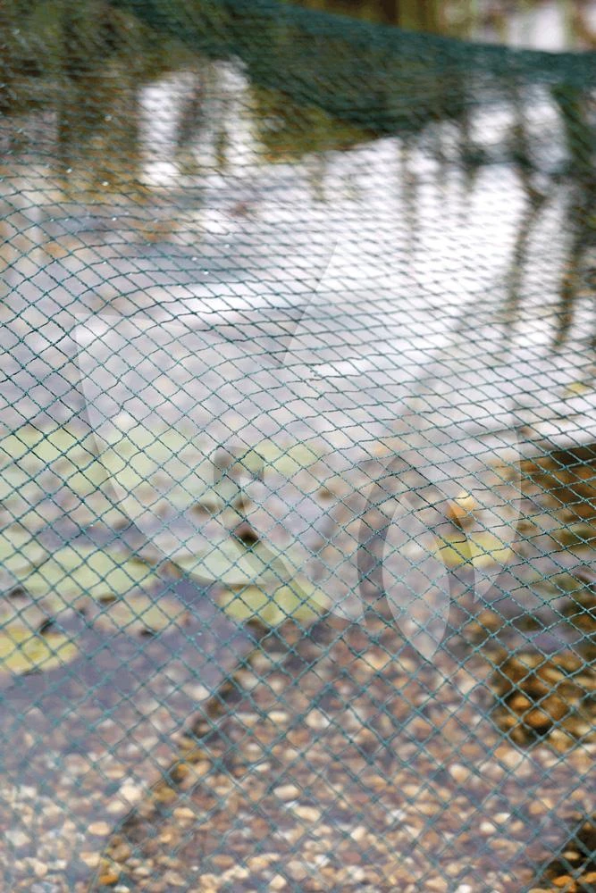 Oase Vijvernet 6 X 10 Meter 5 Oase Vijvernet 6 X 10 Meter - Afbeelding 3