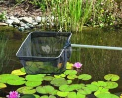 OASE Professioneel Fijnmazig Vijver-schepnet 10 OASE Professioneel Fijnmazig Vijver-schepnet -Oases Winkel professioneel fijnmazig vijver schepnet 0 600x480