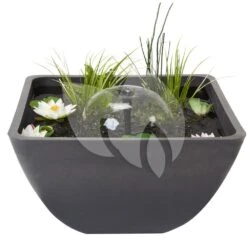 Velda Terrasvijver Fountain Pond Vierkant Klein 10 Velda Terrasvijver Fountain Pond Vierkant Klein -Oases Winkel terrasvijver vierkant 55cm 123515 3 0 1000x961
