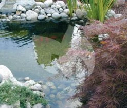 Ubbink BioPure 2000 Basic-Set Onderwaterfilter 10 Ubbink BioPure 2000 Basic-Set Onderwaterfilter -Oases Winkel ubbink biopure 2000 basic set onderwaterfilter 2 0 1000x852