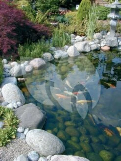 Ubbink FiltraClear 2500 PlusSet Vijverfilter 8 Ubbink FiltraClear 2500 PlusSet Vijverfilter -Oases Winkel ubbink filtraclear 2500 plusset vijverfilter 3 0 750x1000