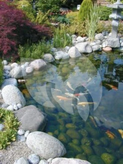 Ubbink FiltraClear 4500 PlusSet Vijverfilter 9 Ubbink FiltraClear 4500 PlusSet Vijverfilter -Oases Winkel ubbink filtraclear 4500 basicset doorstroomfilter 2 0 750x1000