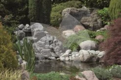 Ubbink FiltraPure 2000 Vijverfilter 7 Ubbink FiltraPure 2000 Vijverfilter -Oases Winkel ubbink filtrapure 2000 vijverfilter 2 0 1000x665