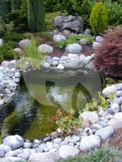 Ubbink FiltraPure 4000 PlusSet Vijverfilter 7 Ubbink FiltraPure 4000 PlusSet Vijverfilter -Oases Winkel ubbink filtrapure 4000 vijverfilter 2 0 750x1000 4