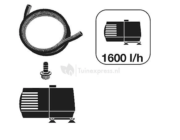 Nova Scotia Waterornament 4 Nova Scotia Waterornament - Afbeelding 2