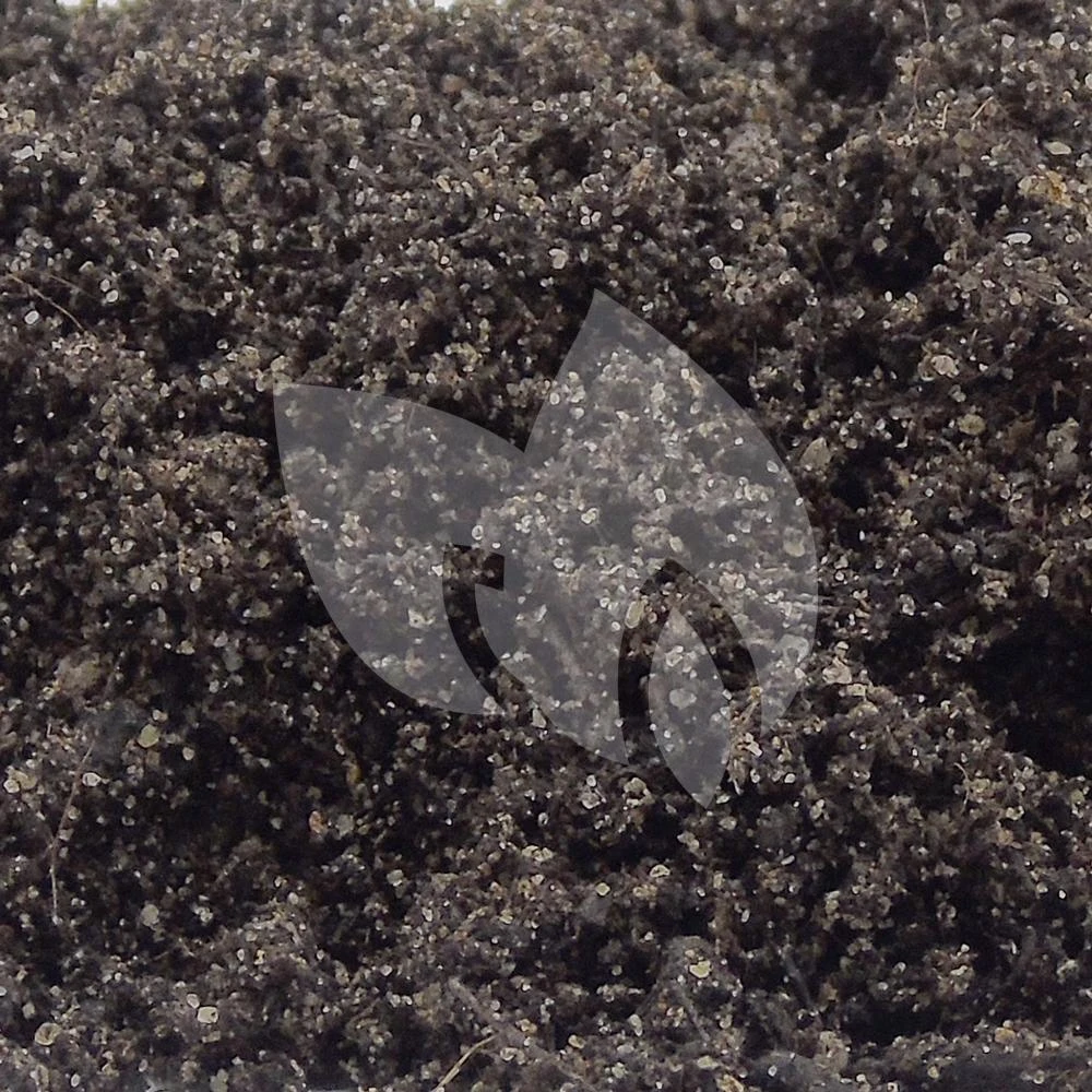 Ubbink Waterlelie Aarde 4 Ubbink Waterlelie Aarde - Afbeelding 2