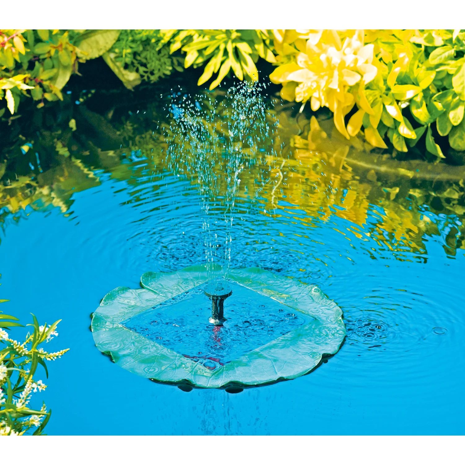 Voorwaarden 30 Voorwaarden -Oases Winkel 449689 picture 2