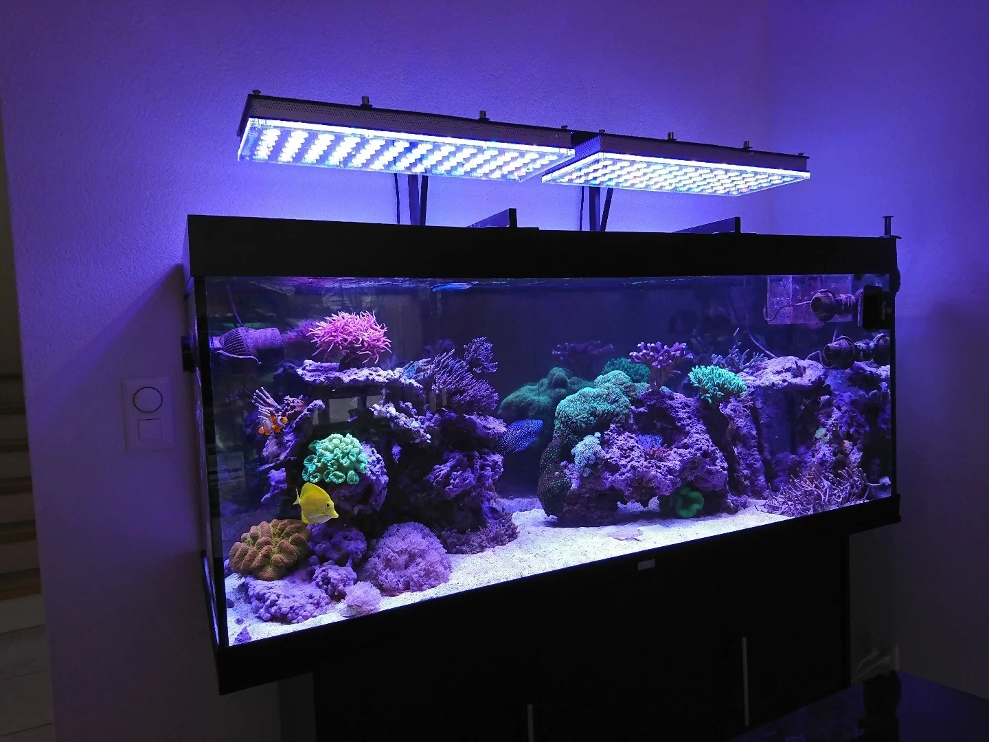 Oases Winkel 30 Oases Winkel -Oases Winkel orphek atlantik reef LED light 1